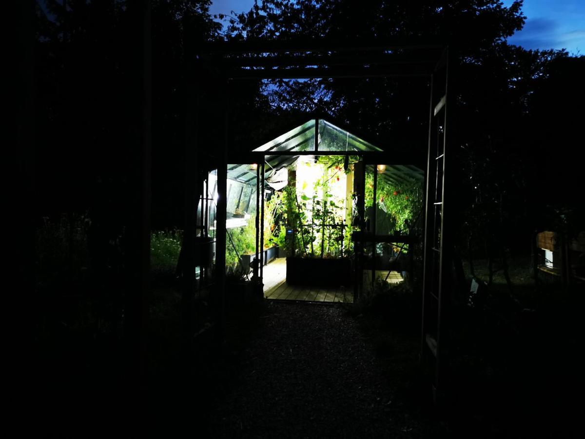 La Maison des Oiseaux. Roulotte Achicourt Extérieur photo